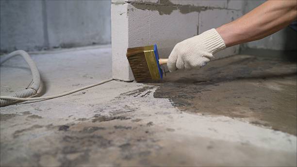 24/7 Emergency Wet Basement Repair experts in Belgium, WI